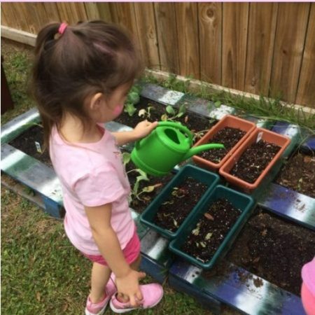 Little girl watering garden at preschool as part of the Volusia County 5-2-1-0 initiative.